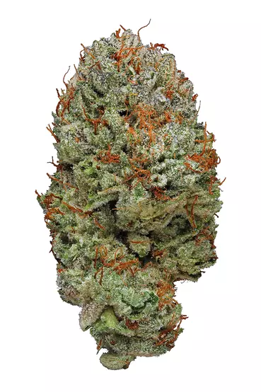 Buy Cookie Glue Weed Strain Online