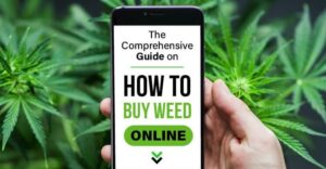 The Comprehensive Guide on How to Buy Weed Online