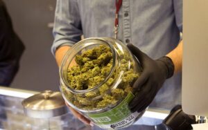 Where can I legally buy cannabis in Munich?