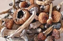 BUY PSYCHEDELIC PRODUCT ONLIE