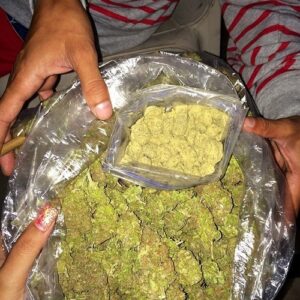 Where can I legally buy weed in Frankfurt?